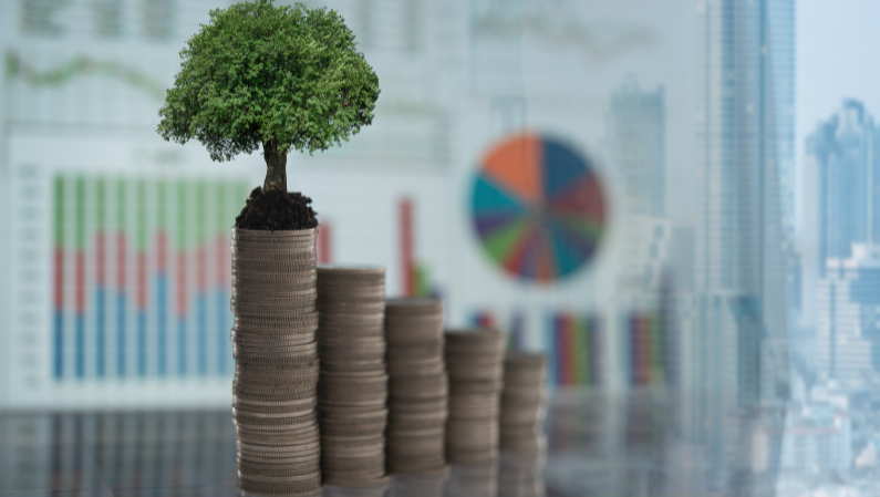 Thumbnail for Fundos de Investimento: O Que São e Como Escolher os Melhores